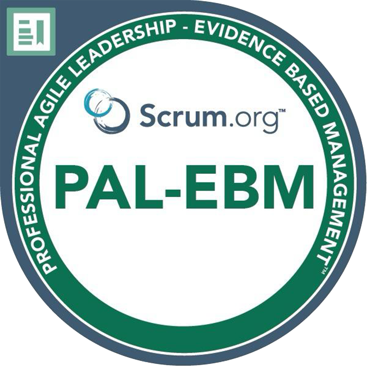Logo 17